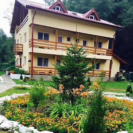 Pensiunea La Padure Cheia, Prahova Hotel Maneciu ภายนอก รูปภาพ