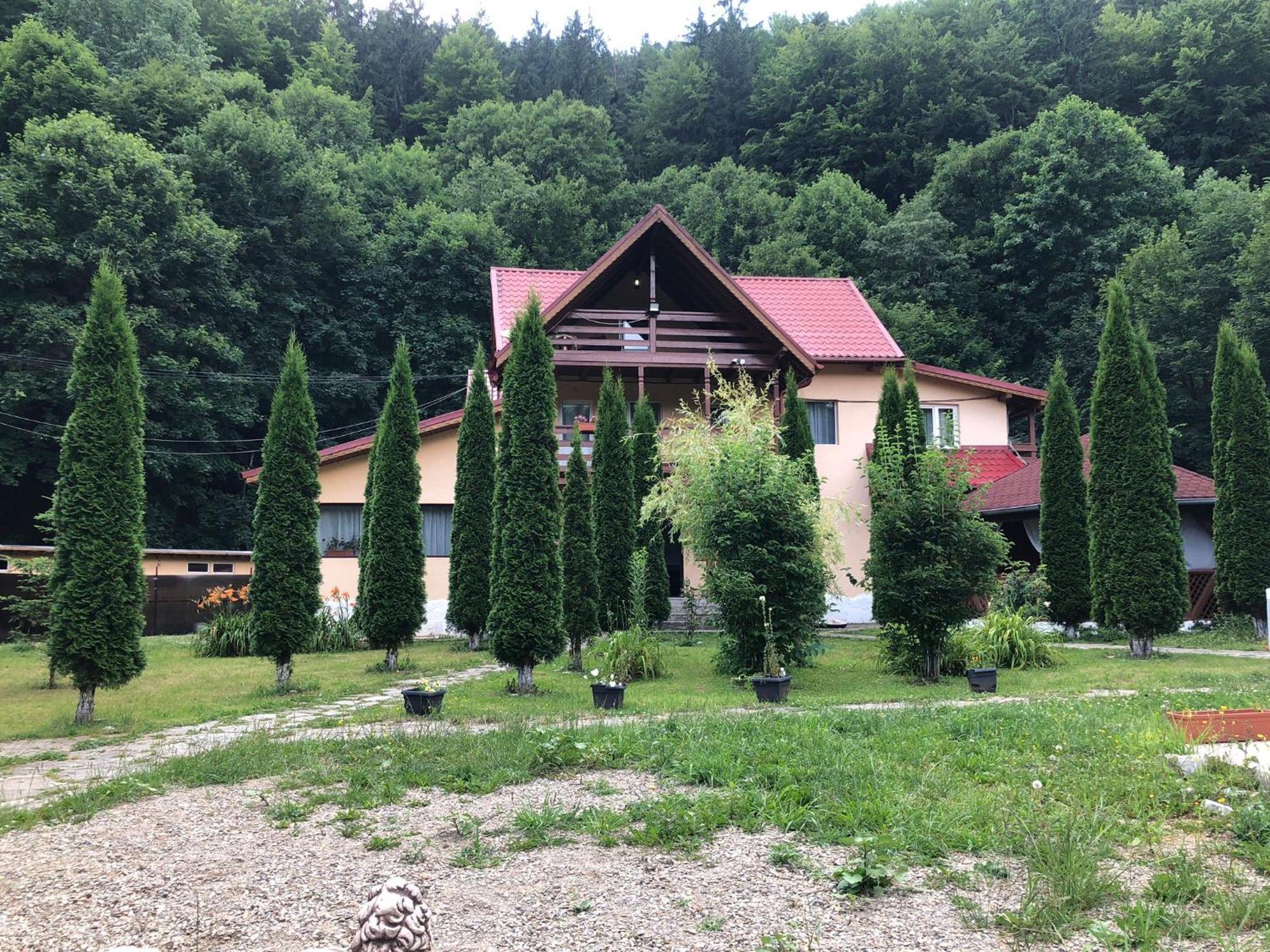 Pensiunea La Padure Cheia, Prahova Hotel Maneciu ภายนอก รูปภาพ